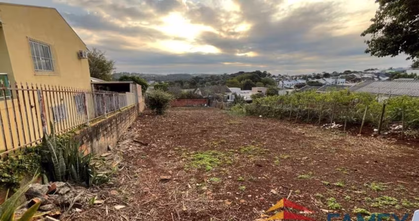 TERRENO À VENDA NO BAIRRO SÃO FRANCISCO - TE849