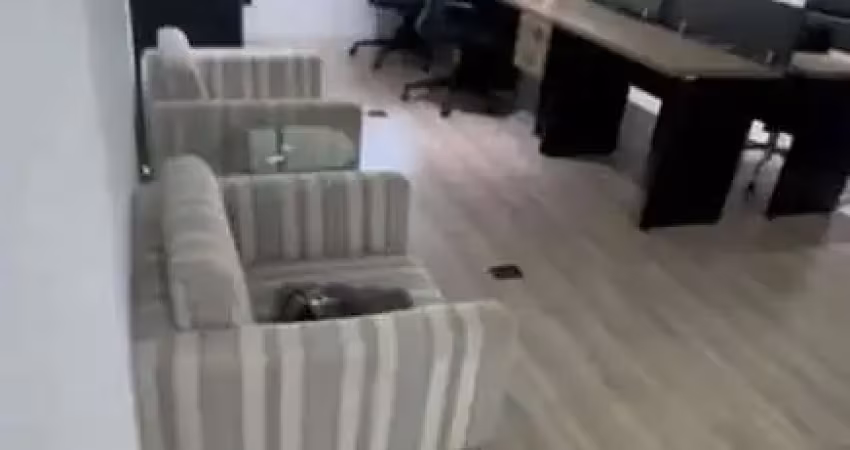 Sala comercial para alugar na Avenida Ibirapuera, 2033, Moema, São Paulo