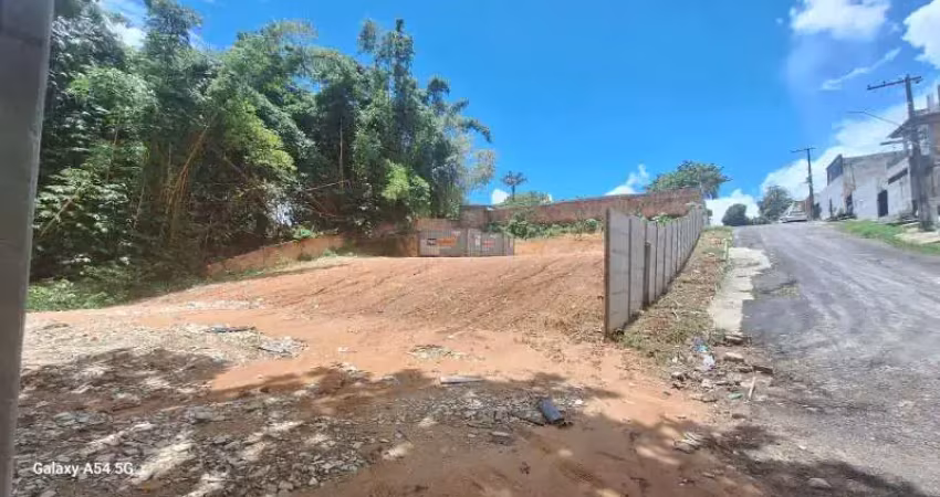 Terreno comercial à venda no Aleixo, Manaus 