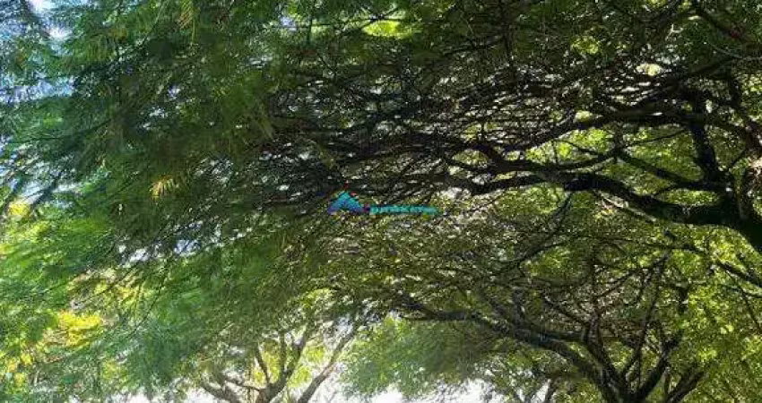 Terreno em condomínio fechado à venda na Rua dos Buritis, sn, Parque dos Resedás, Itupeva