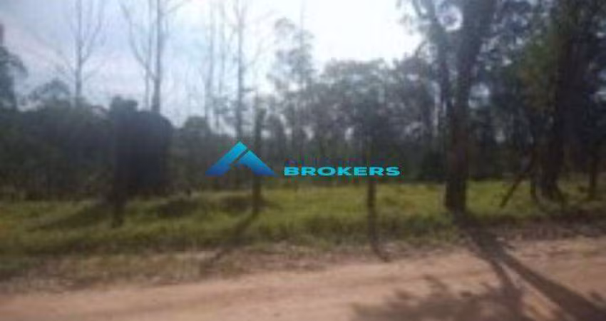 Terreno C/ 5.000 m² - Bairro Pau Arcado