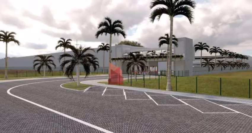 Barracão / Galpão / Depósito para alugar na Rua Domingos Rampelotti, 3601, Espinheiros, Itajaí