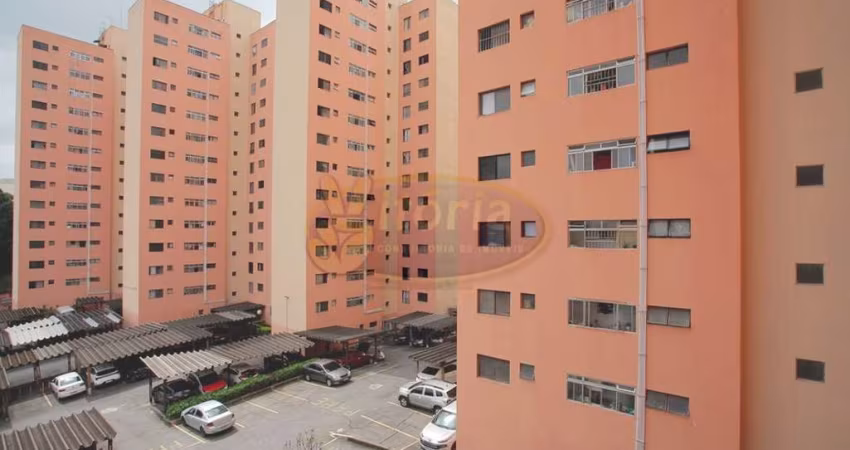 APTO SAO PAULO
