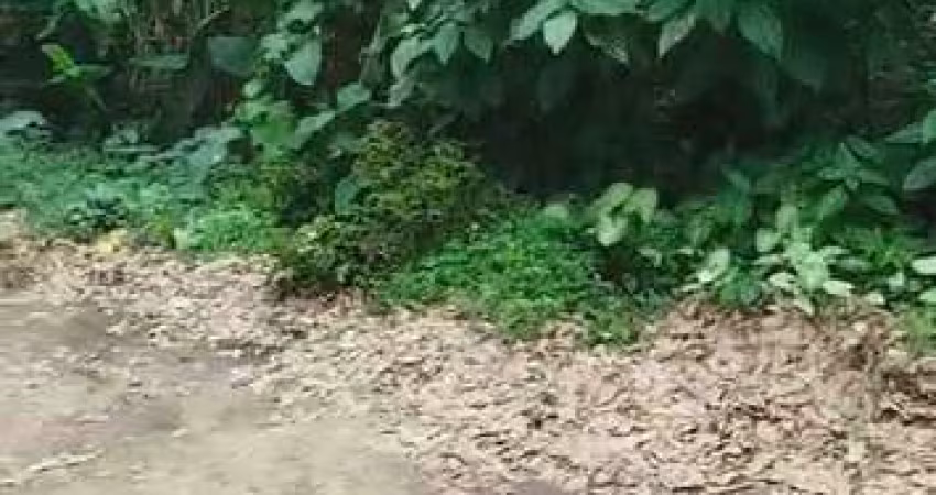 Terreno à venda no bairro Itamambuca em Ubatuba/SP
