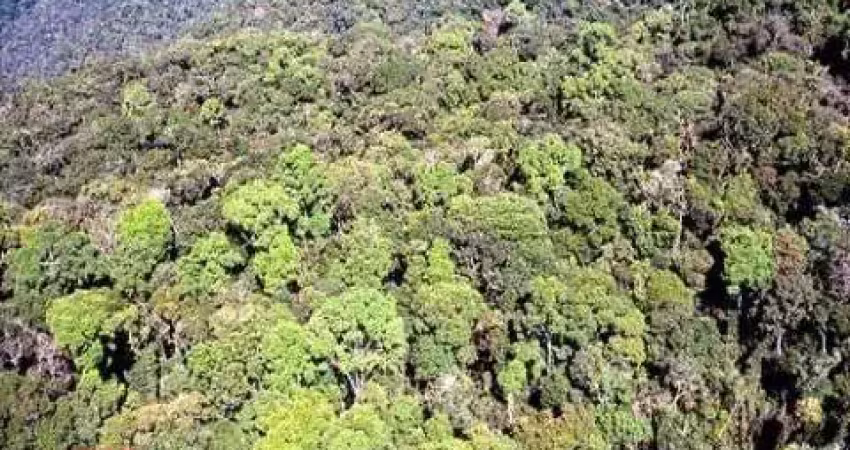 Área reflorestamento fazenda à venda de para compensação de  reserva legal, no interior de são paulo