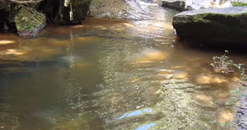 Chácara / sítio à venda no Pouso Alto, Paraibuna 