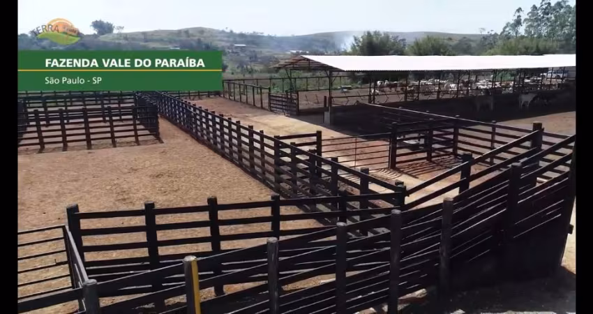 Bela fazenda