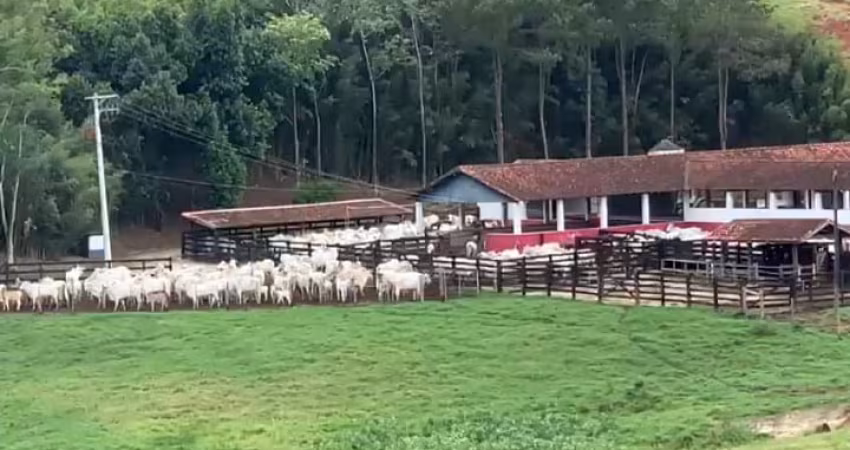 Maravilhosa fazenda