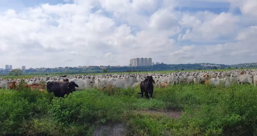 Fazenda à venda na Vila Industrial, São José dos Campos 
