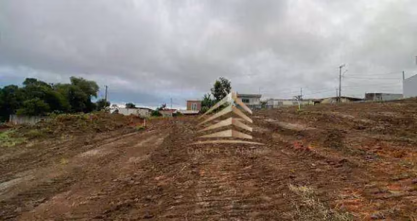 Terreno à venda, 12000 m² por r$ 4.800.000,00 - chácara águas da pedra - itaquaquecetuba/sp
