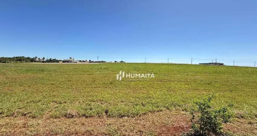 Terreno à venda, 1503 m² por R$ 950.000,00 - Gleba Fazenda Palhano - Cambé/PR