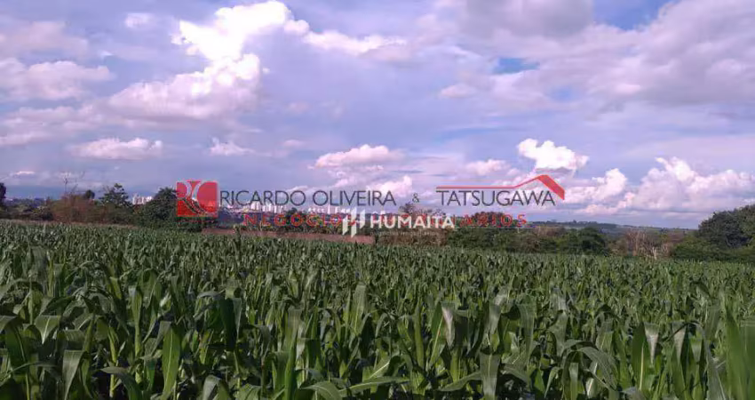 Chácara à venda, 20166 m² por R$ 2.500.000,00 - Gleba Ribeirão Cafezal - Londrina/PR