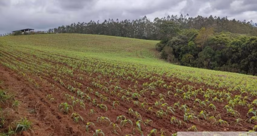 Fazenda à venda na Capão Bonito, Centro, Capão Bonito