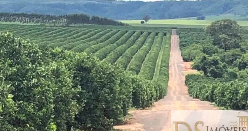 Fazenda à venda na Rua Alagoas, 1, Centro, Marília