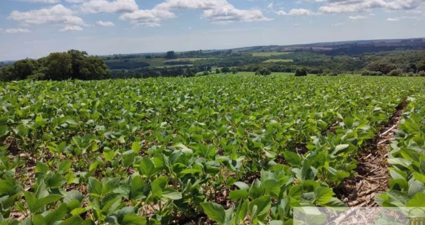 Excelente fazenda a venda em Capão Bonito/SP com área total de 136 alqueires, casa sede e casa de funcionários