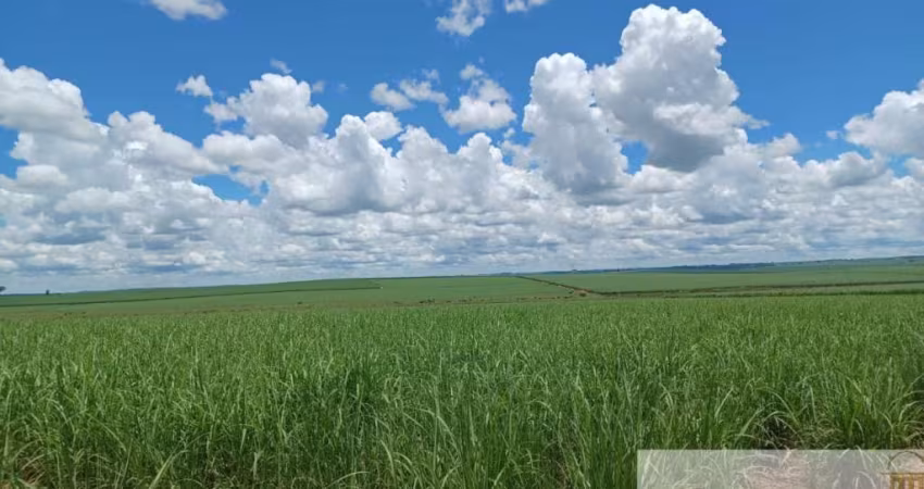 FAZENDA EM CANA A VENDA NA REGIÃO DE ADAMANTINA, 274 ALQUEIRES, SEM BENFEITORIAS