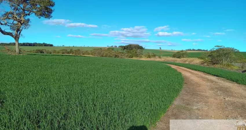 SÍTIO A VENDA NA REGIÃO DE SOROCABA-SP, COM 22 ALQUEIRES, FORMARDO EM LAVOURA E PASTO, TOPOGRAFIA PLANA E SEMI PLANA, TERRA MISTA E CASA COM VARANDA