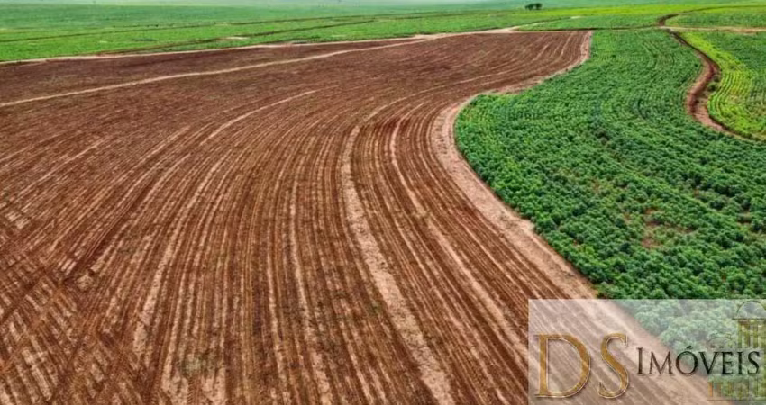 Fazenda de 223 alqueires em presidente epitácio-sp: oportunidade de investimento única!