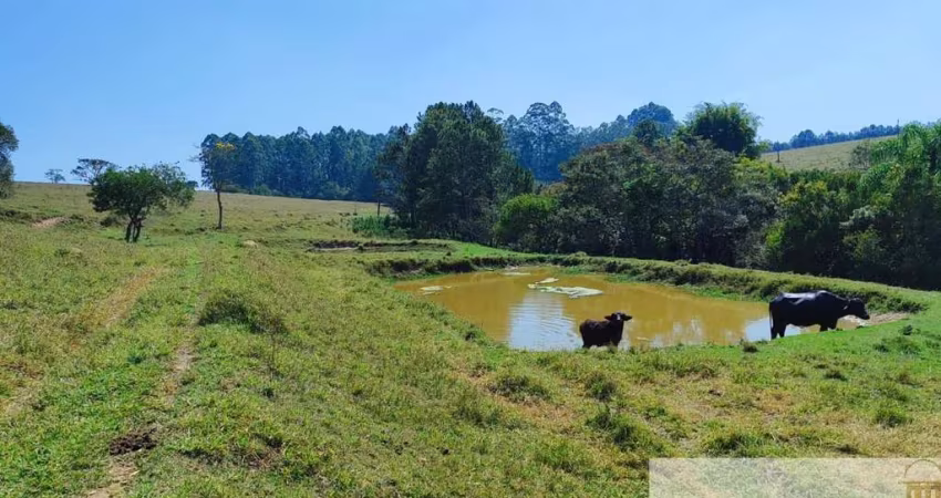 SÍTIO DE 12,5 ALQUEIRES EM ITAPETININGA/SP: CASA SEDE, PISCINA, CANIL E MUITO MAIS!
