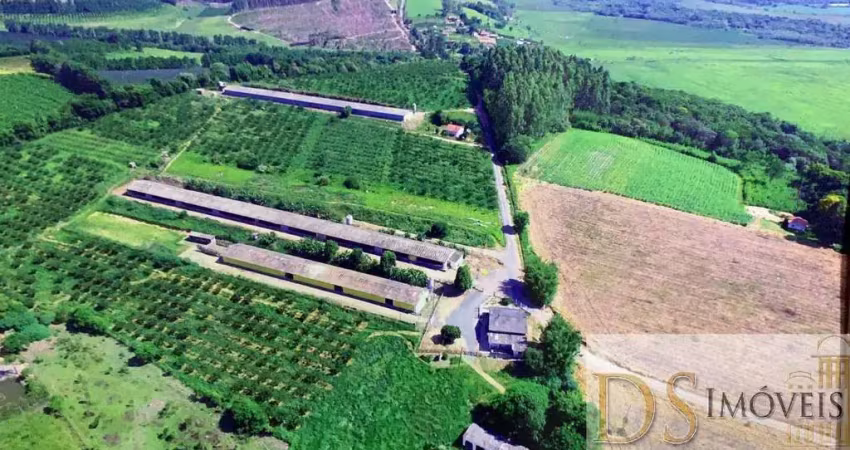 Sítio com granja a venda na região de sorocaba/sp: 6,5 alqueires de área com aviários e ótima logística