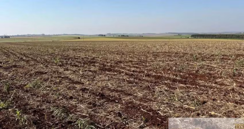 Fazenda de 235 alqueires em bernardino de campos/sp: oportunidade única!