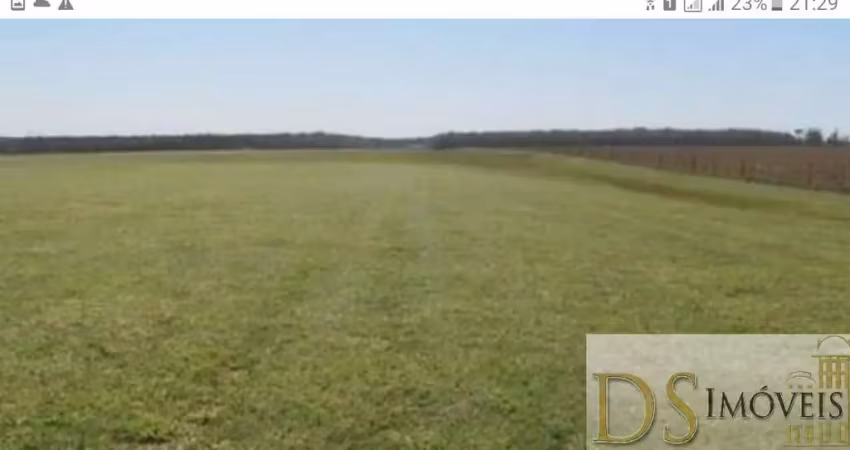 Venha conhecer: fazenda de cana à venda em rancharia/sp - 1.412 alqueires na beira da pista