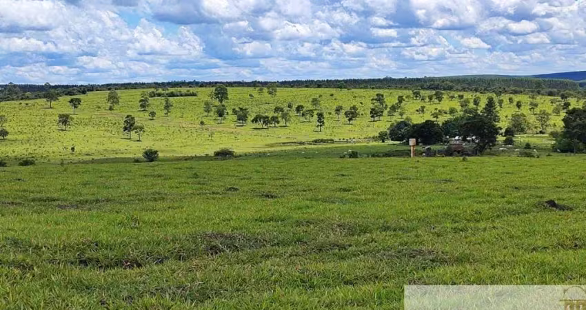 Oportunidade única! Fazenda de 294 alqueires à venda em Botucatu/SP, com potencial para gado, agricultura e mais. Aproveite!