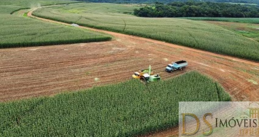Fazenda Leiteira e Laticínio de 244,5 Alqueires à Venda na região de Itapetininga/SP - Excelente Oportunidade!
