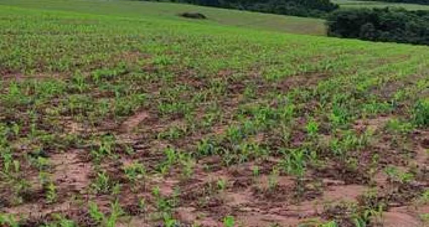 Fazenda de 75 alqueires à venda em São Miguel Arcanjo/SP - Excelente oportunidade de investimento!