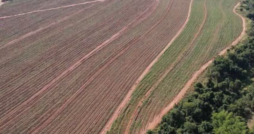 Fazenda com cana de 215 alqueires à venda em araraquara-sp  - excelente oportunidade!
