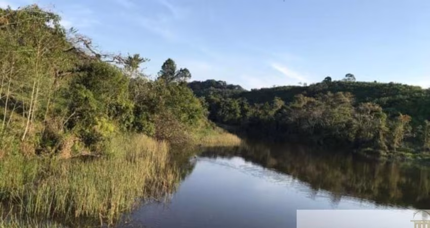 FAZENDA DE 90 ALQUEIRES À VENDA EM IGUAPE/SP - POTENCIAL PARA PECUÁRIA E CULTIVO - LOGÍSTICA PRIVILEGIADA