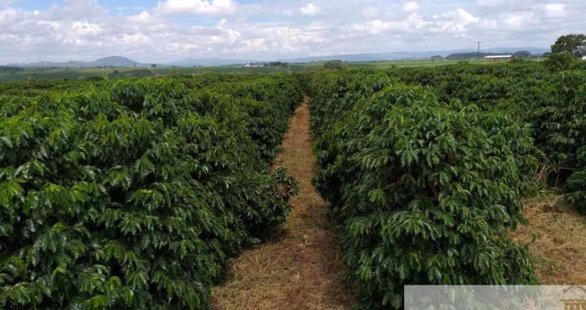 OPORTUNIDADE ÚNICA: FAZENDA DE CAFÉ COM 120 ALQUEIRES EM PIUMHI/MG!
