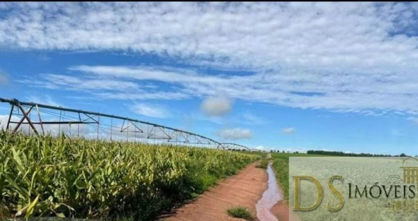 FAZENDA DE 240 ALQUEIRES À VENDA EM AVARÉ/SP: DUPLA APTIDÃO, IRRIGAÇÃO, BENFEITORIAS E LOGÍSTICA PRIVILEGIADA!