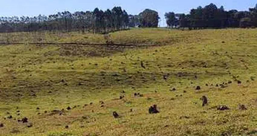 Magnífica fazenda à venda na região de botucatu/sp ? 119,5 alqueires, casa de alto padrão, represas, confinamento e vista panorâmica