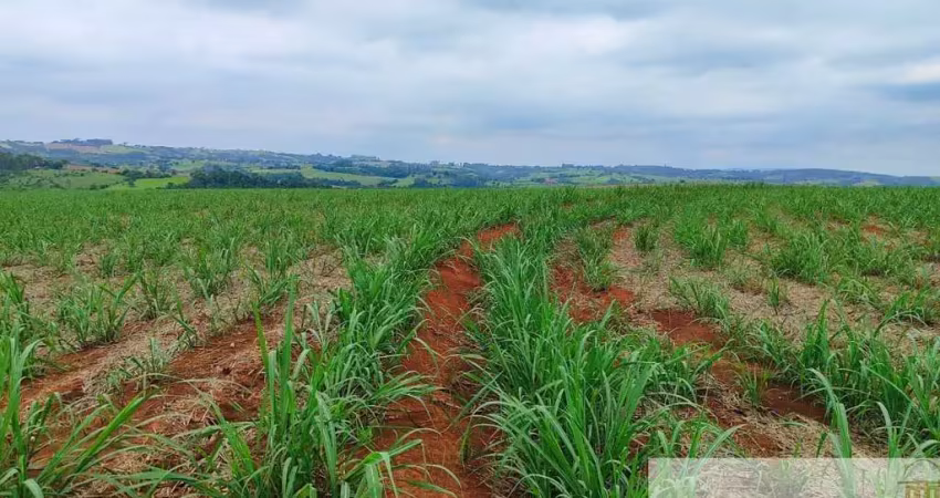 Excelente fazenda à venda em itapetininga/sp ? 42 alqueires, cana própria, solo fértil, hidrografia e ótima localização