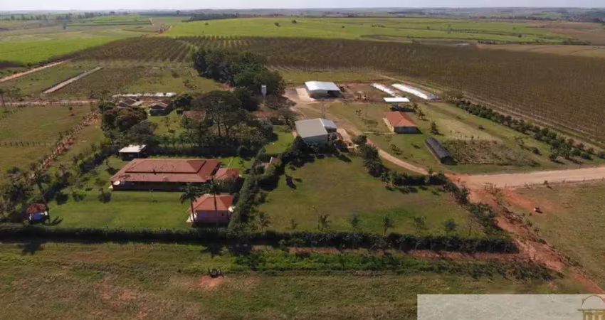 Excelente oportunidade: fazenda de 408 alqueires à venda em penápolis/sp!