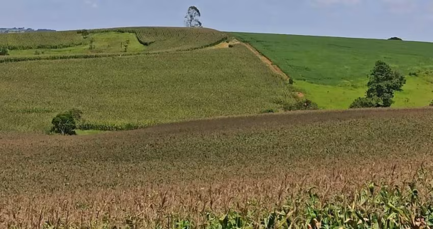Fazenda à venda na Rua Cassiano Vieira, 12, Centro, São Miguel Arcanjo