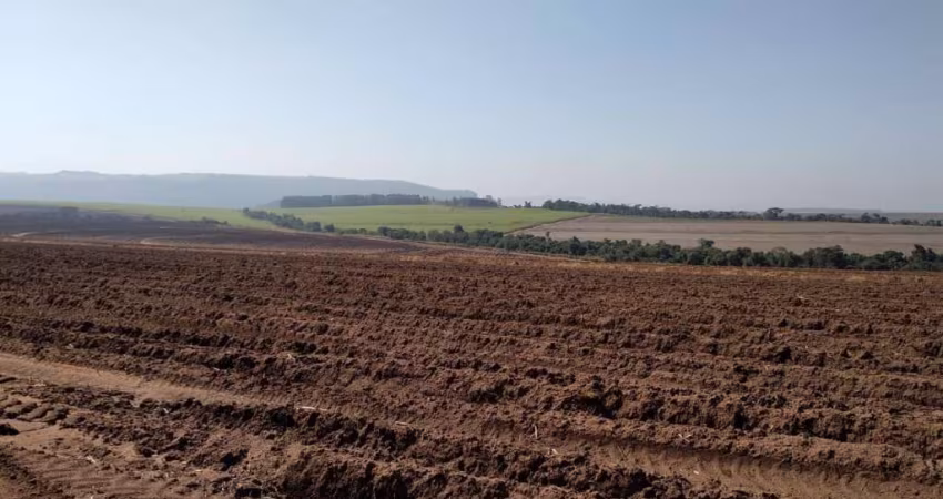Fazenda à venda na Rua Floriano Peixoto, 12, Centro, Santa Maria da Serra