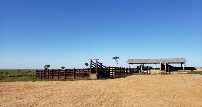 Fazenda à venda na Avenida Tiradentes, 371, Centro, Presidente Venceslau