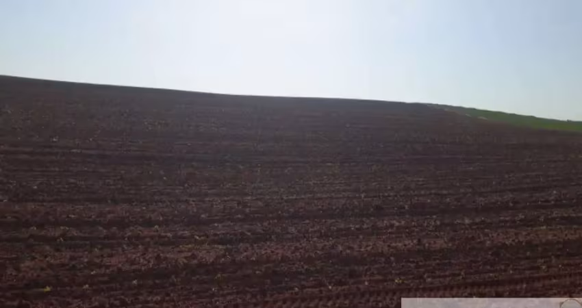 Fazenda à venda na PARAGUAÇU PAULISTA, Centro, Paraguaçu Paulista