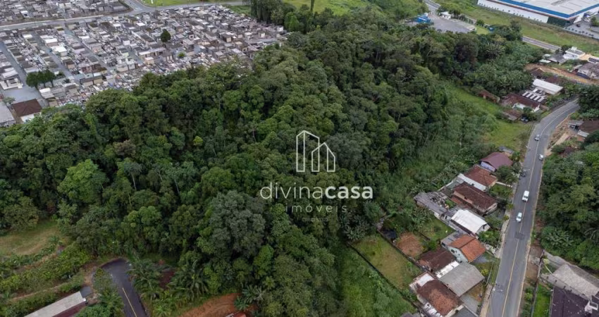 Terreno à venda, 16132 m² por R$ 1.400.000,00 - Vila Lenzi - Jaraguá do Sul/SC