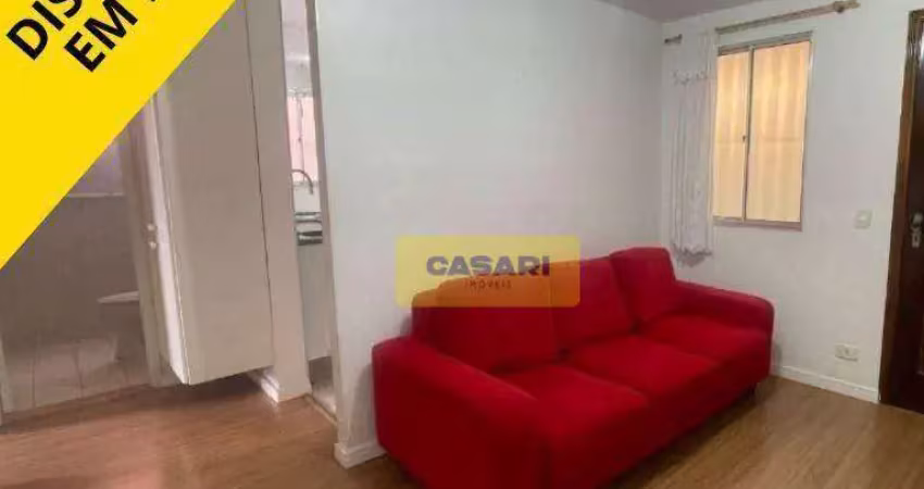 DISPONÍVEL  À PARTIR DO DIA 05/07