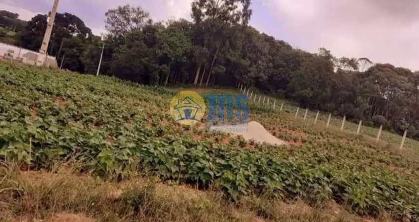 Chácara / sítio à venda na Área Rural, Campina das Pedras, Araucária