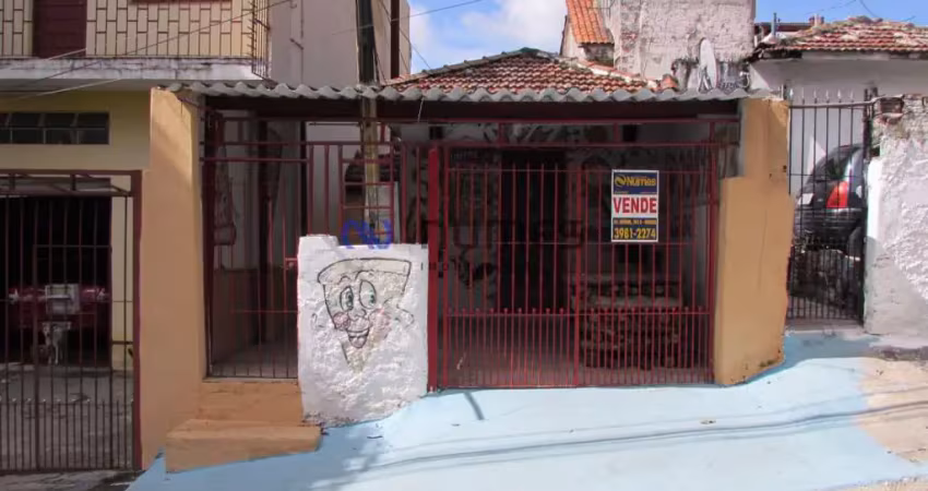Lote / Terreno em Vila Celeste  -  São Paulo