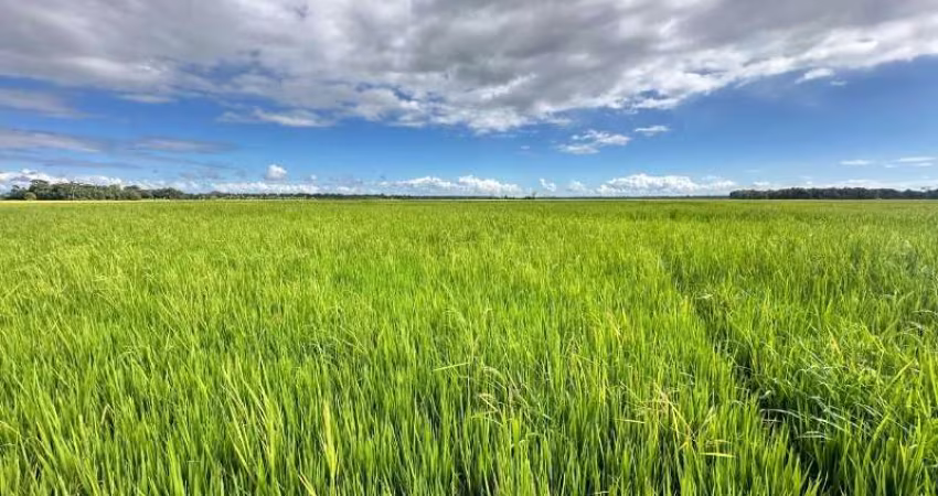 Oportunidade única! Sitio de 20,08 hectares à venda em Araquari-SC, bairro Santa Luzia. Confira!