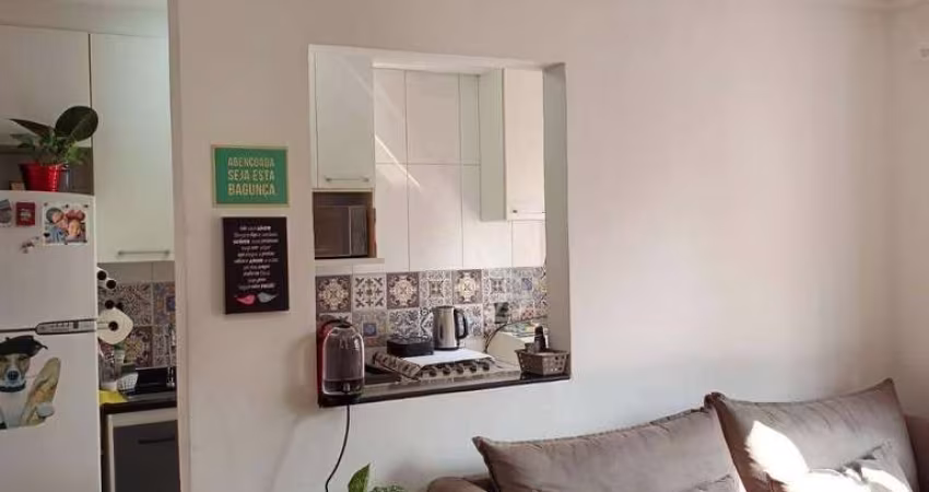 Apartamento com 2 dormitórios à venda, 45 m² por R$ 290.000 - Ponte Grande - Guarulhos/SP( Cond. Único)