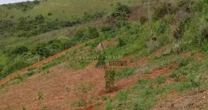 Terreno à venda, 20000 m² por r$ 380.000,00 - ribeirão grande - pindamonhangaba/sp