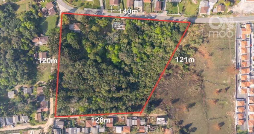 Terreno à venda, 15400 m² por R$ 3.899.000,00 - Colônia Faria - Colombo/PR