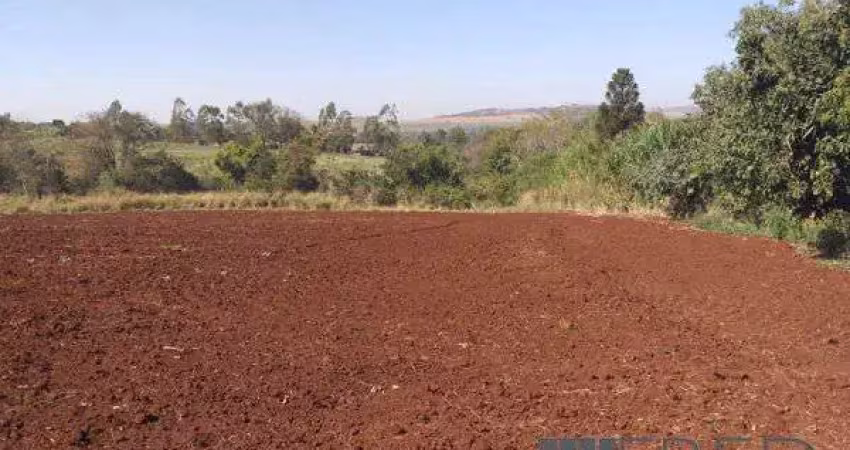 Chácara / sítio com 1 quarto à venda na Área Rural -  Recanto Vale Fertil, sn, Área Rural de Londrina, Londrina