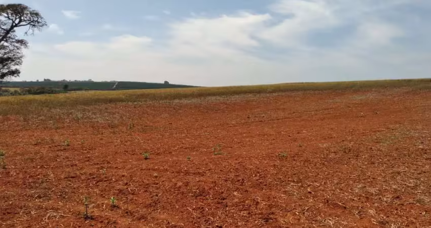 Excelente fazenda para venda em tatui-sp, com 108 alqueires sendo 70 alqueires em grãos, grama e cana, boa de agua, beira da pista e muitas benfeitori